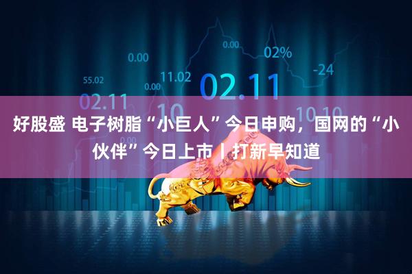 好股盛 电子树脂“小巨人”今日申购，国网的“小伙伴”今日上市丨打新早知道
