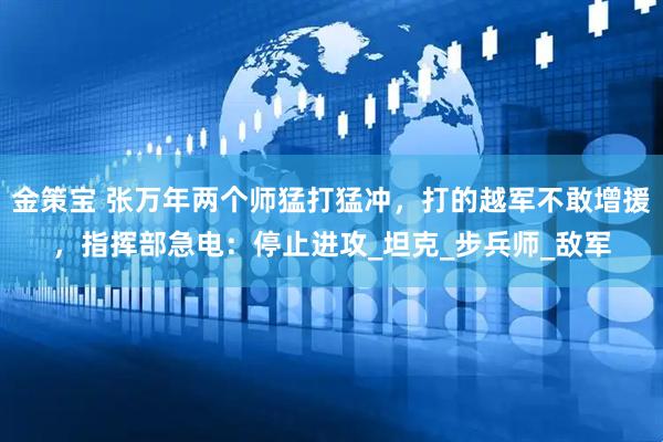 金策宝 张万年两个师猛打猛冲，打的越军不敢增援，指挥部急电：停止进攻_坦克_步兵师_敌军