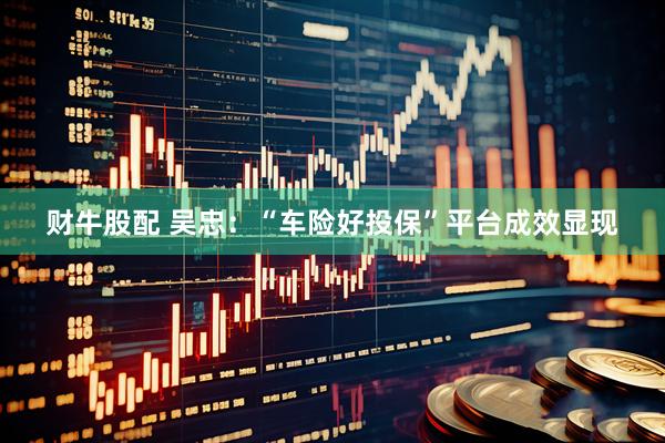 财牛股配 吴忠：“车险好投保”平台成效显现