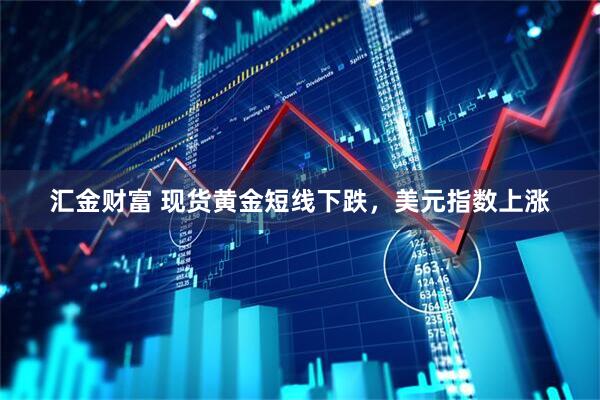 汇金财富 现货黄金短线下跌，美元指数上涨
