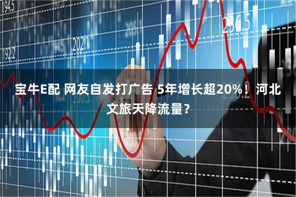 宝牛E配 网友自发打广告 5年增长超20%！河北文旅天降流量？