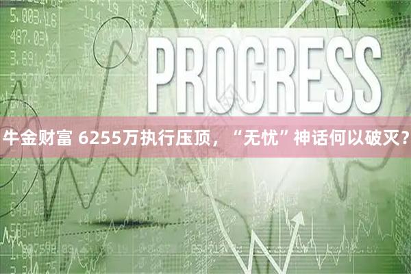 牛金财富 6255万执行压顶，“无忧”神话何以破灭？