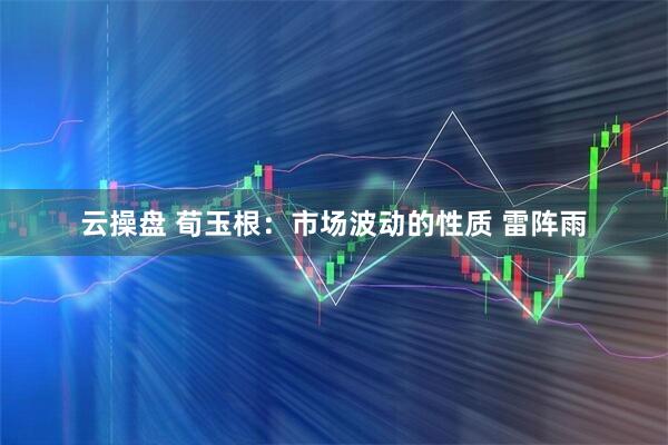 云操盘 荀玉根:市场波动的性质 雷阵雨